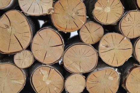 Wellness Holz.jpg